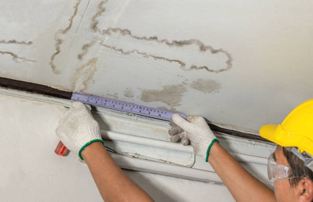 Reliable Burst Pipe Cleanup contractor in Mount Freedom, NJ by Local Water Damage Repair